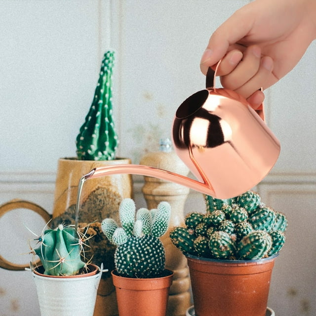 Regadera para plantas, regadera de acero inoxidable de 500 ml, regadera de acero inoxidable, olla rociadora, funcionalidad de alta precisión
