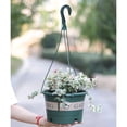 thumbnail image 1 of Garden Hanging Pot Plastic Hanging Flower Pot Plant Hanger With Hook, 1 of 8