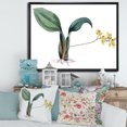thumbnail image 2 of Designart 'Ancient Plant Life VI' Traditional Framed Canvas Wall Art Print, 2 of 5