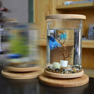 Yirtree Desk Hanging Fish Tank, Small Glass Betta Bowl Aquarium with  Stand,Plant Terrarium for Home Table Top Office Garden Decor 