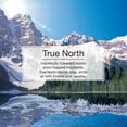 thumbnail image 4 of Little Trees Air Freshener True North Fragrance 3 Pack, 4 of 10