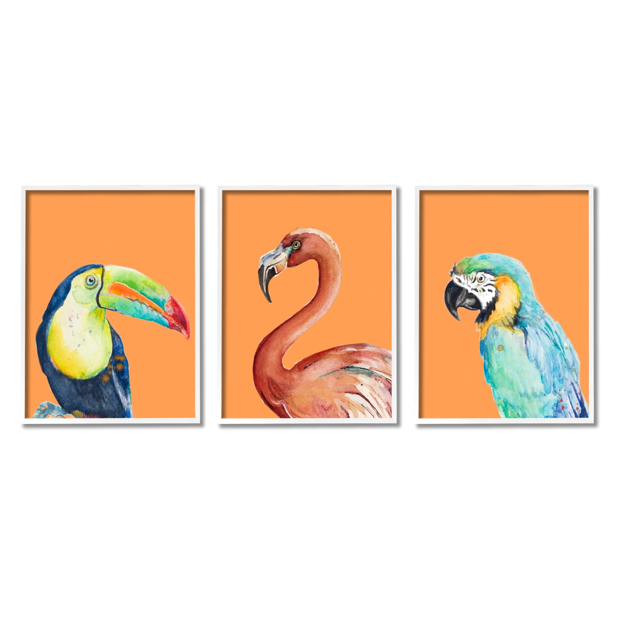Stupell Industries Bold Tropical Birds Rainforest Animals Toucan Parrot Graphic Art White Framed Art Print Wall Art, Set of 3, Design by Patricia Pinto