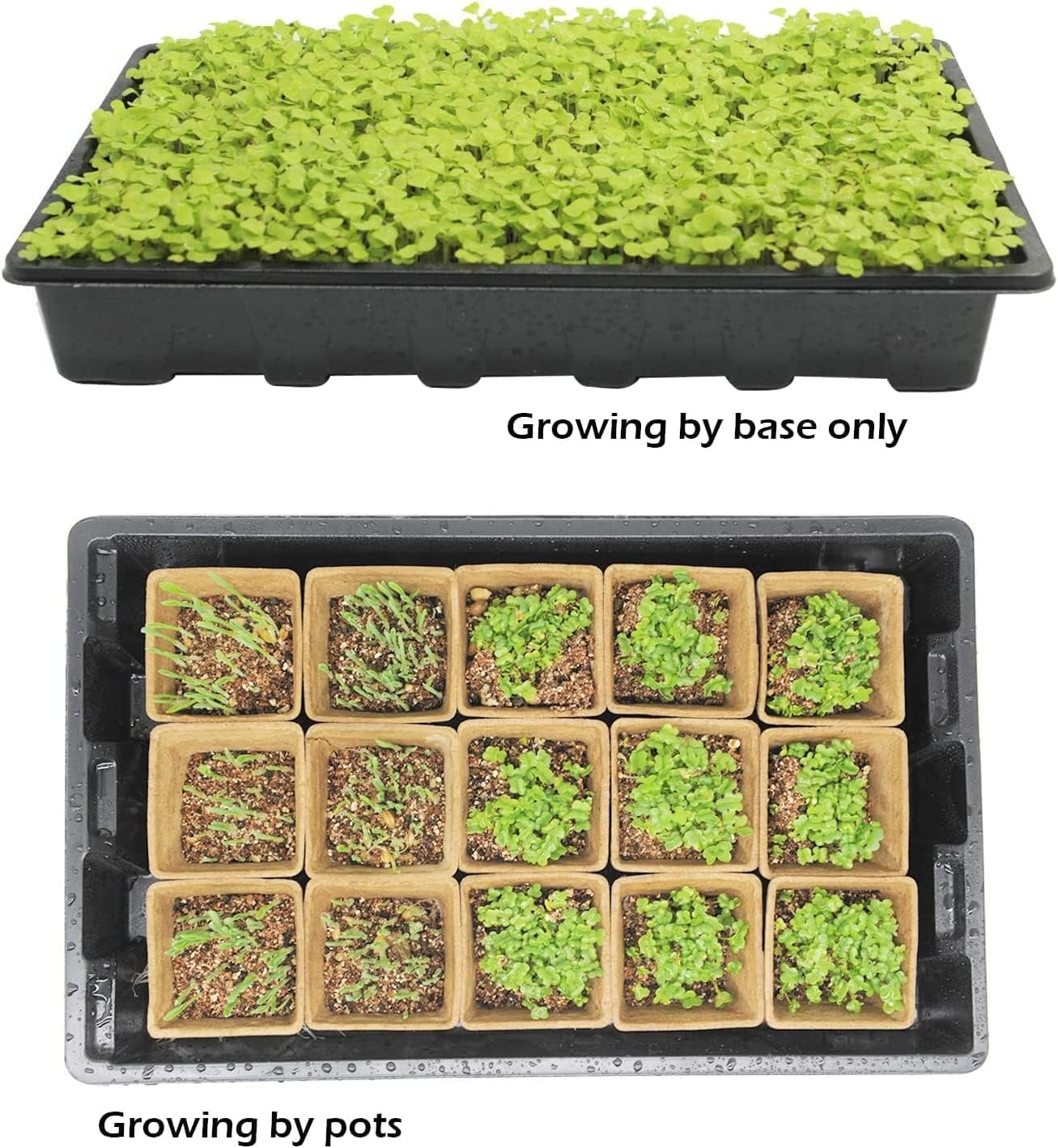 Seed Starter Kit with 90 Peat Pots for Seedlings Seed Starter Trays, 5 Plastic Growing Trays 20 Plant Labels & 3 Garden Tools, Outdoor or Indoor Herb Garden Nursery
