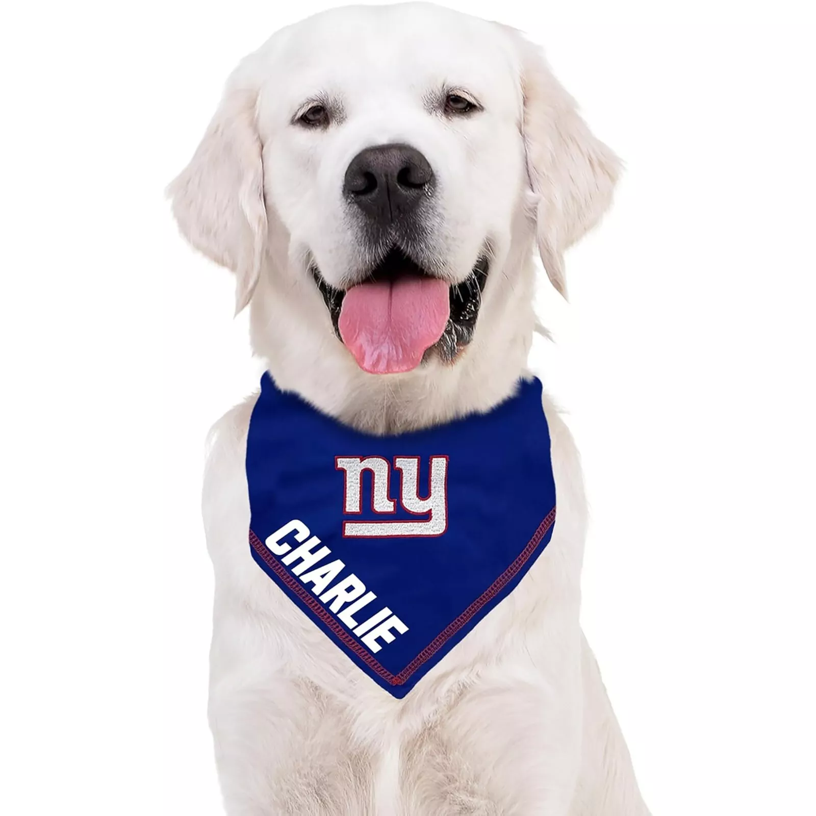 Pets First NFL Personalized Tie Bandana for Dogs & Cats Customizable Dog Bandana