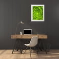 thumbnail image 3 of Grayscale 19x24 White Modern Wood Framed Museum Art Print Titled - Green Bloom I, 3 of 4