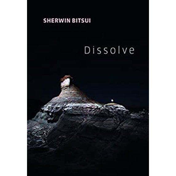 Pre-Owned Dissolve (Paperback) 155659545X 9781556595455