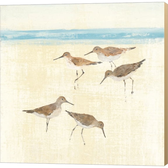 Sandpipers Square II Blue by Avery Tillmon, Canvas Wall Art