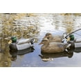 Flambeau Storm Front Classic Mallard Decoys -12 Count 8030SUV - Walmart.com