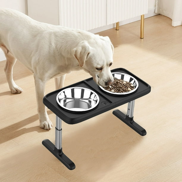 Dog bowls walmart top