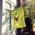 thumbnail image 2 of Carolines Treasures BB7756CHF Ring-necked Commun Faisan Drapeau Vert Toile Maison, 2 of 4
