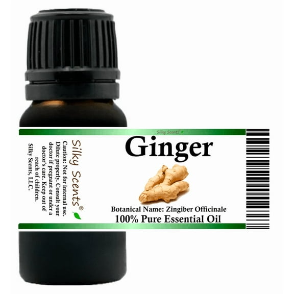 Ginger Essential Oil 5 ml (1/6 fl oz) - 100% Pure and Natural by Silky Scents
