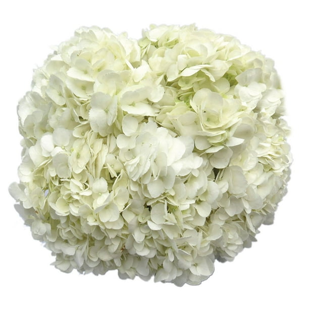 Member's Mark Hydrangeas, choose color and stem count