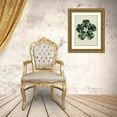 thumbnail image 3 of Blossfeldt, Karl 19x24 Gold Ornate Wood Framed with Double Matting Museum Art Print Titled - Asclepias Syriaca (Common Milkweed), 3 of 4