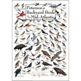 thumbnail image 2 of Peterson's Backyard Birds of Mid-Atlantic Poster, 2 of 4