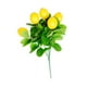 thumbnail image 5 of Decoración de rama de limón artificial vívida y elegante con hojas realistas Limón falso Estilo A, 5 of 9