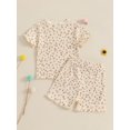 thumbnail image 6 of Toddler Baby Girls Shorts Clothing Set, 6 12 18 24 Months 2T 3T 4T Short Sleeve Crew Neck T-shirt with Shorts Floral Summer Outfit, 6 of 9