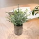 thumbnail image 4 of Planta artificial en maceta, mini plantas en maceta, vegetación, maceta de pulpa gris, pequeña, artificial para Pequeño Eucalipto, 4 of 9