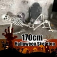 Halloween Party Favors Skeleton Prop Deco Skeleton Life Size Full Body