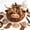Cow, variant on Diy Animal Pumpkin Sewing Kit, 12 Woodland Crafts For Adults | Sew 12 Charming Animal Pumpkins For Autumn, Halloween And Holiday Displays With Coordinated Craft Supplies Great Gifts