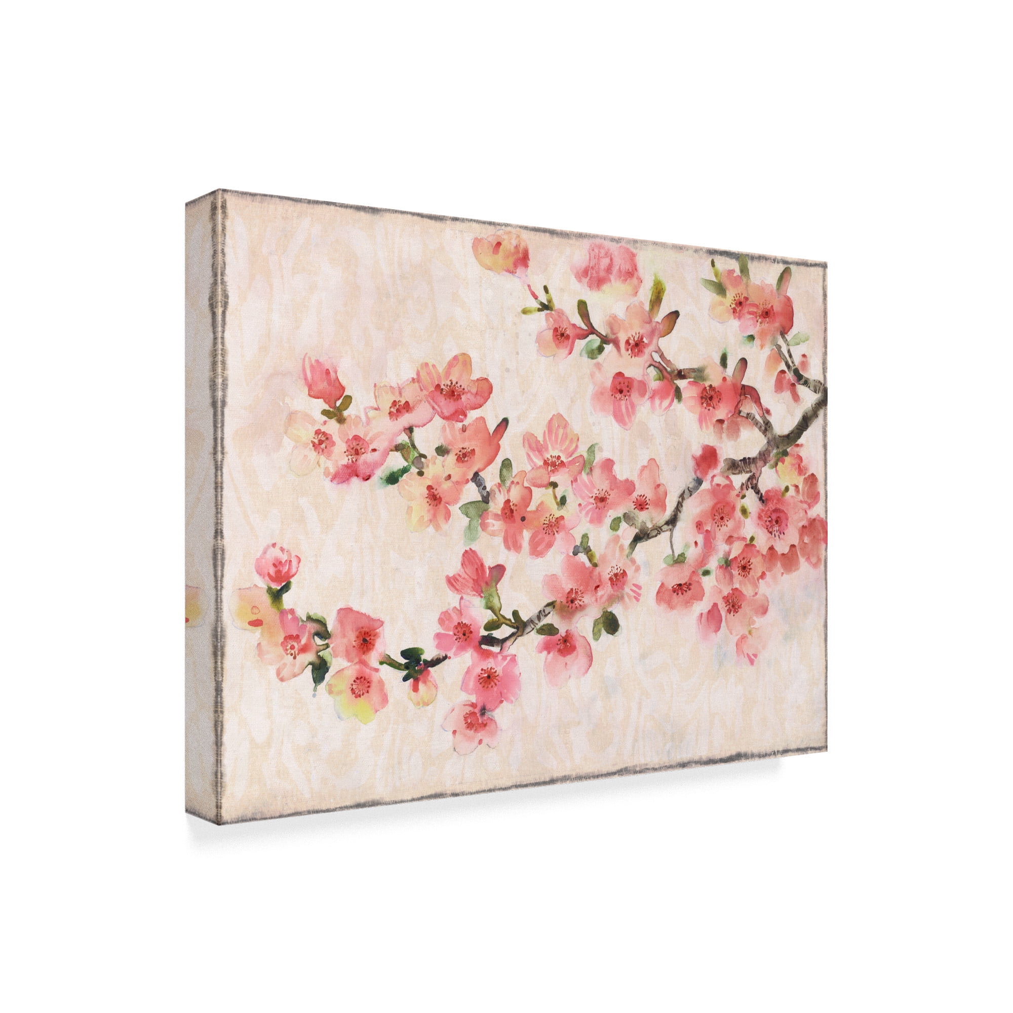 Trademark Fine Art 'Cherry Blossom Composition I' Canvas Art by Tim OToole