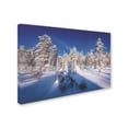 thumbnail image 2 of Trademark Fine Art 'Blue North' Canvas Art by Philippe Sainte-Laudy, 2 of 3