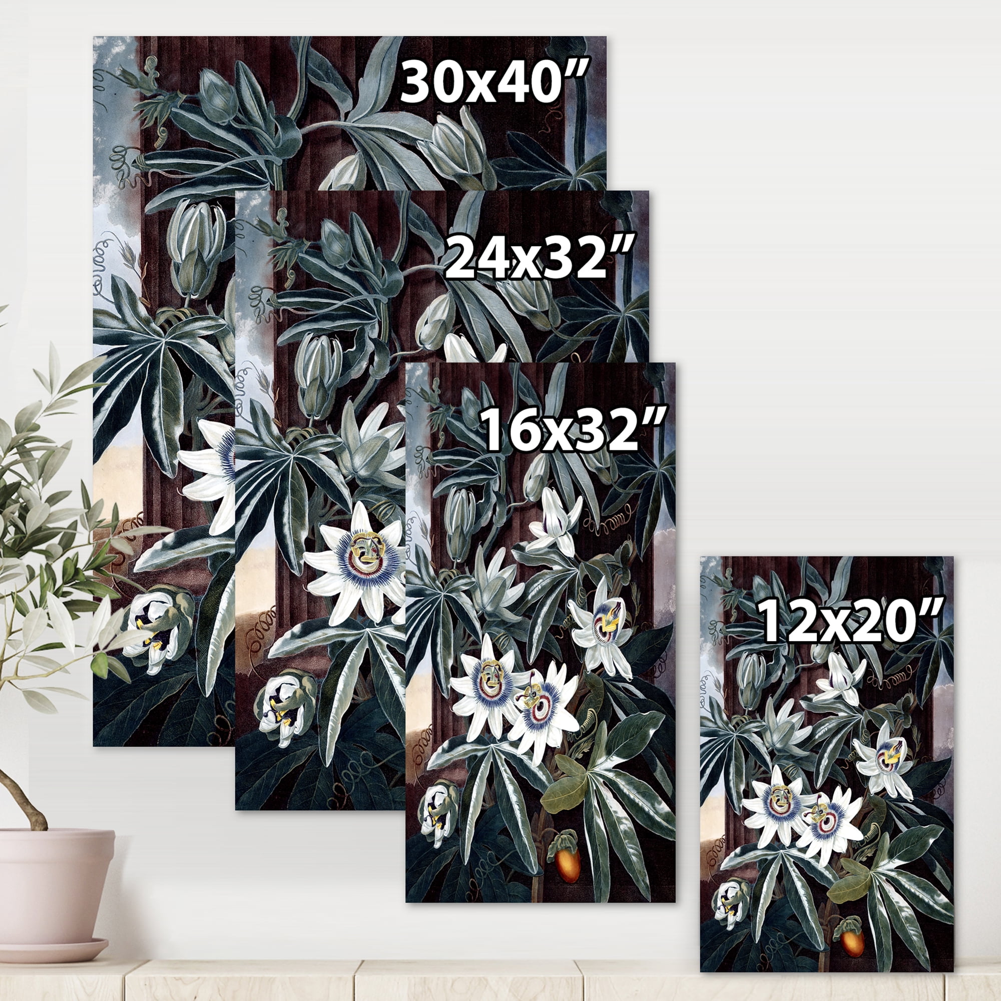 Designart ' Ancient Flowers I ' Traditional Canvas Wall Art Print