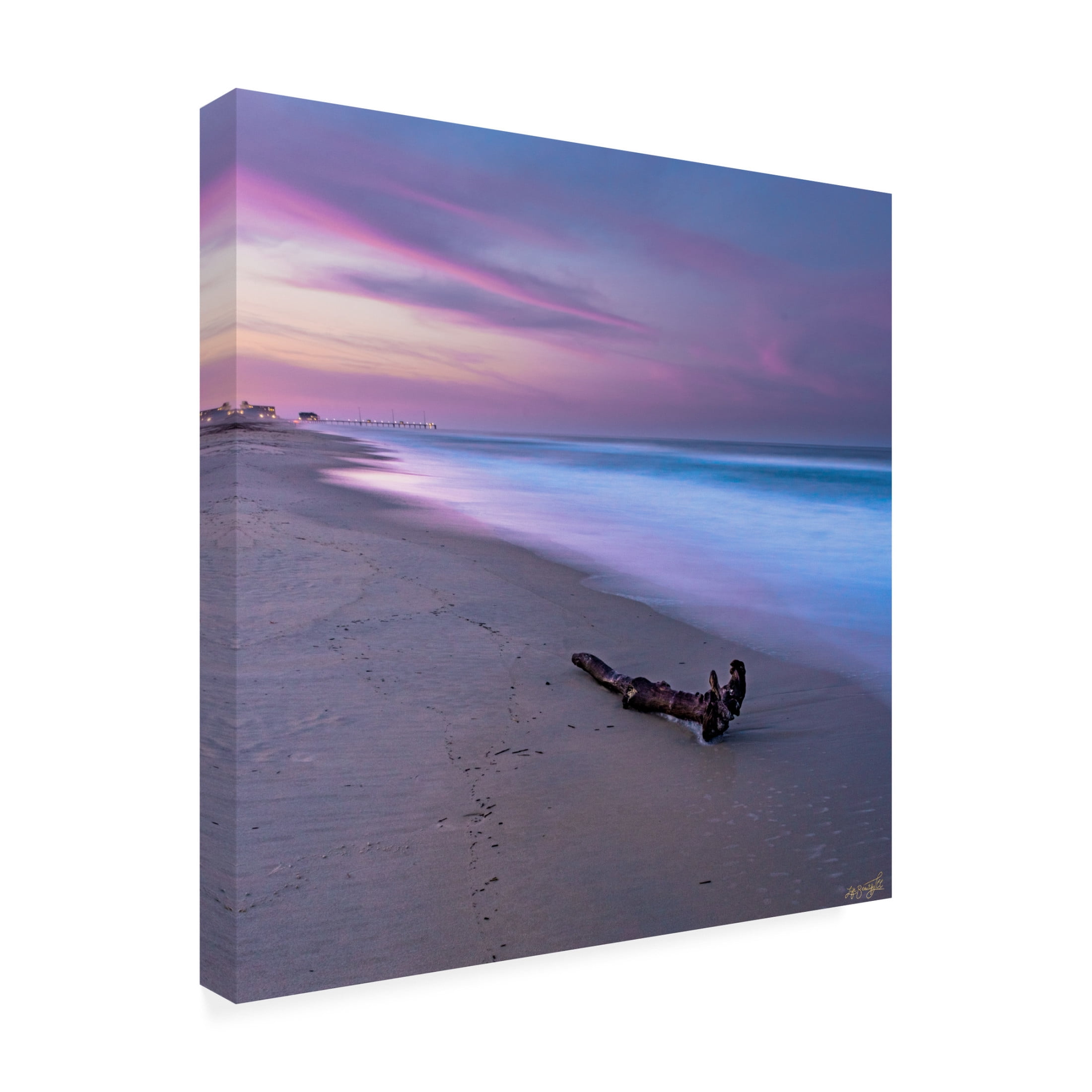 Canvas Wall Art - Life BeautifuLEE 'Sculpure of Perfection' Wall Art for Living Room, Bedroom, or Office Décor by Trademark Fine Art - 24 x 24 Inches