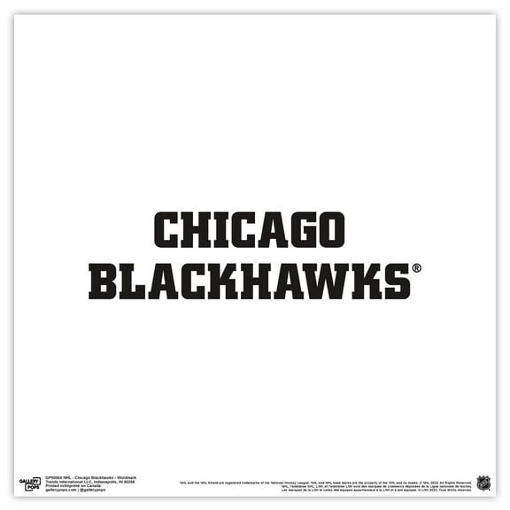 Gallery Pops NHL Chicago Blackhawks - Wordmark Wall Art, Unframed Version, 12" x 12"