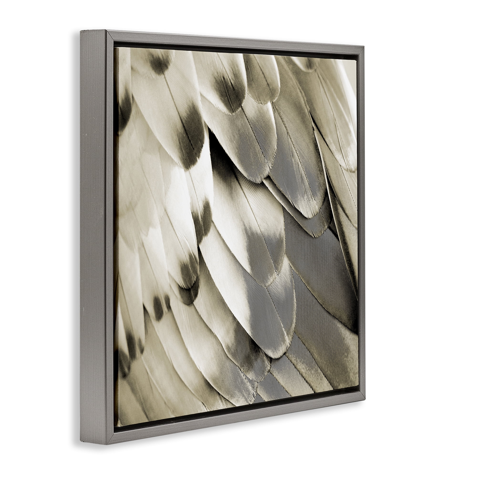 Stupell Industries Sleek Wing Feathers Animals Painting Gray Floater Framed Canvas Art Print Wall Art, 25 x 25