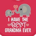 thumbnail image 4 of Inktastic Grandchild Best Grandma Ever Boys or Girls Baby Bib, 4 of 4