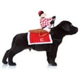 thumbnail image 1 of Disfraz de jinete para perro o gato, para Halloween, para fiesta de cosplay (rojo), 1 of 6