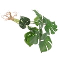 thumbnail image 1 of KAKOWELY Planta Artificial Monstera Verde Para De Con Resistente Y Apariencia, 1 of 7
