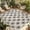 Black White Beige, variant on Black Beige Dandelion Outdoor Rug for Patio/Deck/Porch, Non-Slip Large Area Rug 5 x 7 Ft, Farmhouse Botanical Blossom Indoor Outdoor Rugs Washable Area Rugs, Reversible Camping Rug Carpet Runner