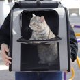 thumbnail image 4 of Ruiboury Breathable Backpack For Dogs And Cats - Fitting And Waterproof Coating Adjustable Buckles Backpack Portable Transparent purple,purple 10kg L, 4 of 6