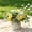 Yellow, variant on Artificial Flower with Small Ceramic Vase - Fake Silk Variety Flower Balls - Home Office Wedding Table Centerpiece Decoration - Plastic Potted Plants for Living Room Kitchen Bookshelf Entryway