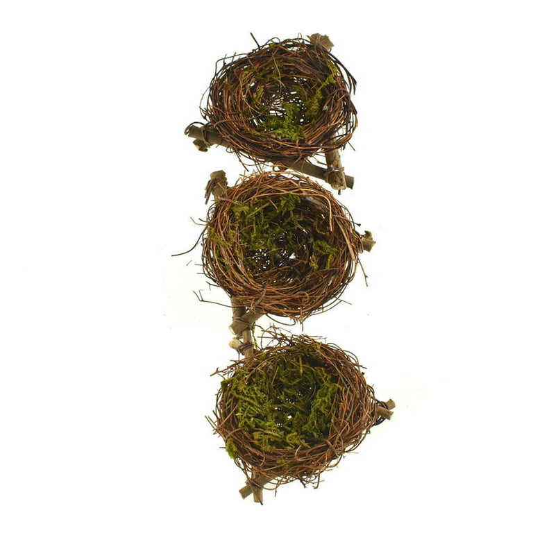 Birds' Nests