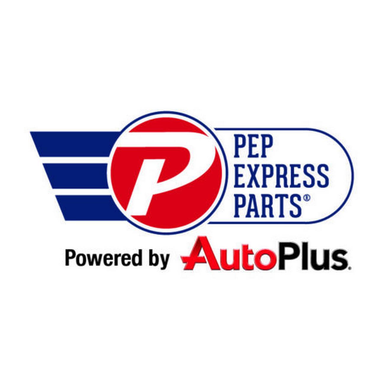 Fuel Filter PEP BOYS FPL76160