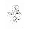 thumbnail image 2 of Paschke, Chris 13x18 White Modern Wood Framed Museum Art Print Titled - Line Clematis, 2 of 4