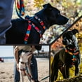 thumbnail image 6 of Wolfgang Heavy Duty Adjustable Dog Harness, Pull-Tested to Over 800 lbs for Walking & Training, ShatterShapes Print, Large, 6 of 6