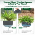 thumbnail image 5 of 12 Inch Large Hanging Planters for Indoor Plants, 2 Pack Self Watering Pots Indoor, Hanging Baskets for Plants,Hanging Flower Pot with Drainage Hole and Plant Hanger, White, 5 of 10