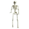 thumbnail image 1 of Halloween Skeleton Decorations Full Body Halloween Skeleton With Movable Joints For Best Halloween, 1 of 6