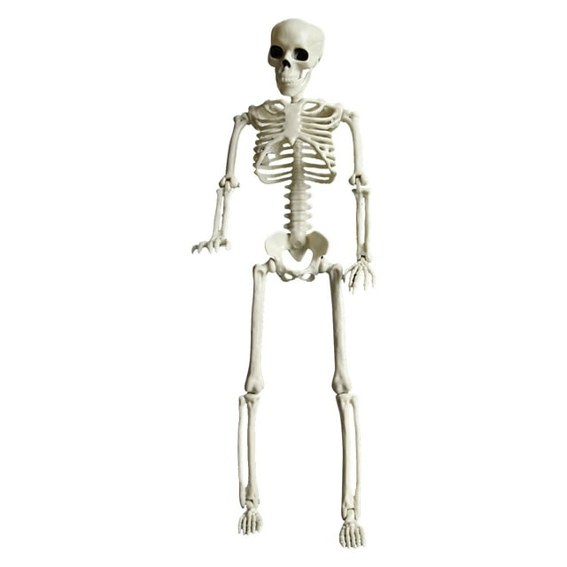 Halloween Skeleton Decorations Full Body Halloween Skeleton With Movable Joints For Best Halloween