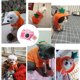 thumbnail image 3 of Cartoon dog hooded sweatshirt, winter warm clothing for puppies, 3 of 6