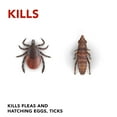 thumbnail image 4 of Raid Flea Killer Carpet and Room Spray, 16 oz (Pack - 6), 4 of 7