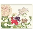 thumbnail image 3 of Konan, Tanigami 14x12 Black Modern Framed Museum Art Print Titled - Japanese Flower Garden II, 3 of 5
