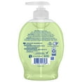 thumbnail image 3 of Softsoap Limited Edition Liquid Hand Soap, Golden Apple, 7.5 Fluid Ounce Bottle, 3 of 9