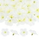 thumbnail image 1 of Uxcell 100-Pack Cabezas de Flores de Orquídea Artificial, 2.17"/ 5.5cm Flores de Orquídea Falsas de Seda para Manualidades DIY, Blanco Crema, 1 of 1