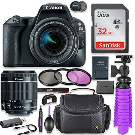 Canon EOS Rebel SL2 24.2MP DSLR Camera with Canon 18-55mm STM Lens Bundle + 32GB SD Memory + High Definition Coated Filters + Spider Tripod + Professional