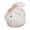 C, variant on Easter Decoration Ceramic Bunny Figurine Small Ornament, Delicate Porcelain Decor for Household Tea Room and Living Room, Home Decor Gift Mini Rabbit Statue for Spring Aesthetic Home Tabletop, A
