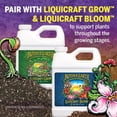 thumbnail image 6 of Mother Earth HGC733944 Subterra Root Booster Hydroponic Plant Nutrients, 1 Pint, 6 of 7